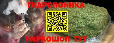 jwh Кандалакша
